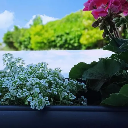 Sealoft * Πάτρα